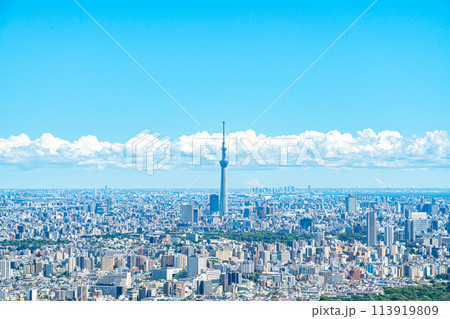 【東京都】サンシャイン60ビルの展望台から見た東京スカイツリー 113919809