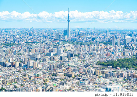【東京都】サンシャイン60ビルの展望台から見た東京スカイツリー 【東京都】サンシャイン60ビルの展望台から見た東京スカイツリー 113919813