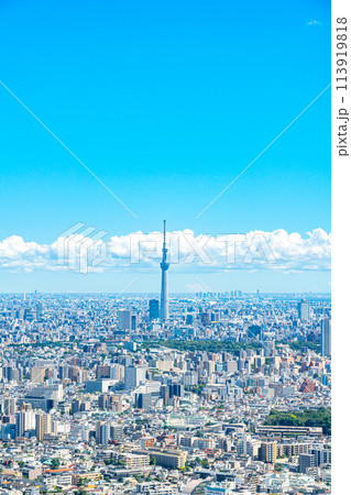 【東京都】サンシャイン60ビルの展望台から見た東京スカイツリー 【東京都】サンシャイン60ビルの展望台から見た東京スカイツリー 113919818