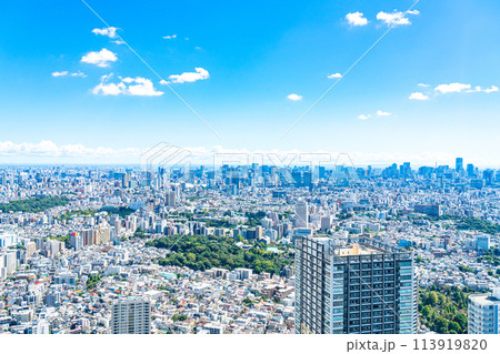 【東京都】サンシャイン60ビルの展望台から見た都市風景 113919820