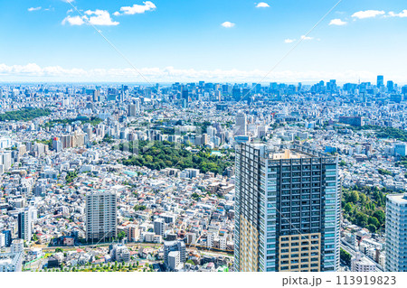 【東京都】サンシャイン60ビルの展望台から見た都市風景 113919823
