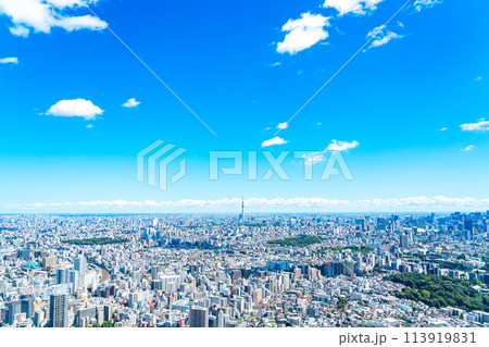【東京都】サンシャイン60ビルの展望台から見た東京スカイツリーと都市風景 113919831