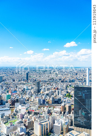 【東京都】サンシャイン60ビルの展望台から見た都市風景 113919843