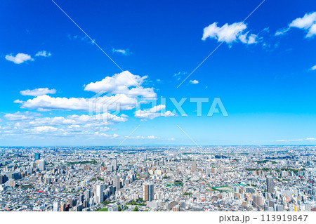 【東京都】サンシャイン60ビルの展望台から見た都市風景 【東京都】サンシャイン60ビルの展望台から見た都市風景 113919847