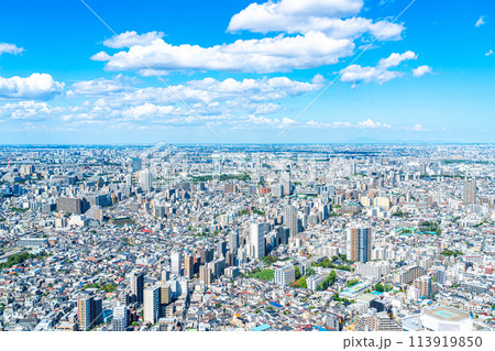 【東京都】サンシャイン60ビルの展望台から見た都市風景 113919850