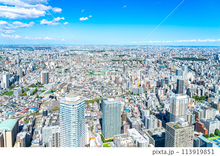 【東京都】サンシャイン60ビルの展望台から見た都市風景 113919851