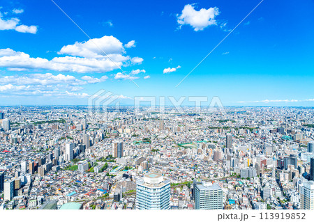 【東京都】サンシャイン60ビルの展望台から見た都市風景 【東京都】サンシャイン60ビルの展望台から見た都市風景 113919852
