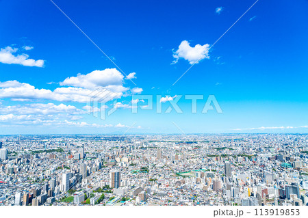 【東京都】サンシャイン60ビルの展望台から見た都市風景 【東京都】サンシャイン60ビルの展望台から見た都市風景 113919853