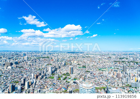 【東京都】サンシャイン60ビルの展望台から見た都市風景 113919856
