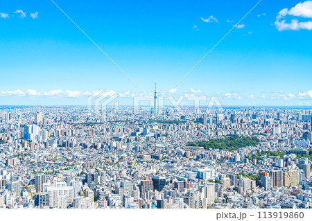 【東京都】サンシャイン60ビルの展望台から見た東京スカイツリーと都市風景 113919860
