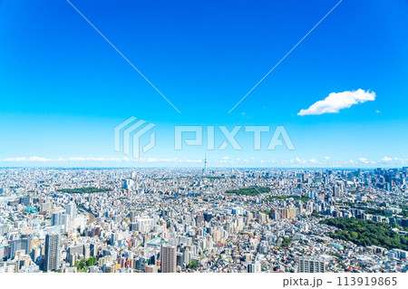 【東京都】サンシャイン60ビルの展望台から見た東京スカイツリーと都市風景 113919865
