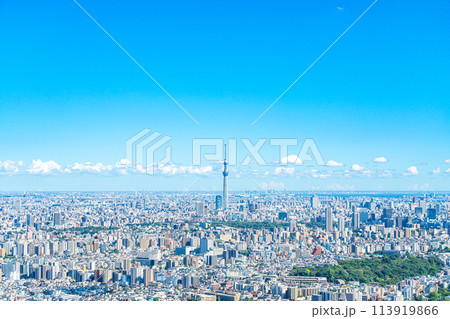 【東京都】サンシャイン60ビルの展望台から見た東京スカイツリーと都市風景 113919866