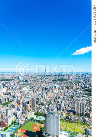【東京都】サンシャイン60ビルの展望台から見た東京スカイツリーと都市風景 【東京都】サンシャイン60ビルの展望台から見た東京スカイツリーと都市風景 113919867