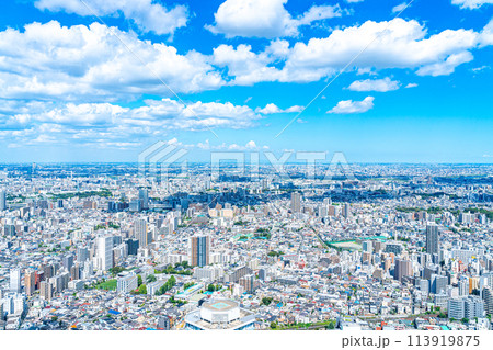 【東京都】サンシャイン60ビルの展望台から見た都市風景 113919875