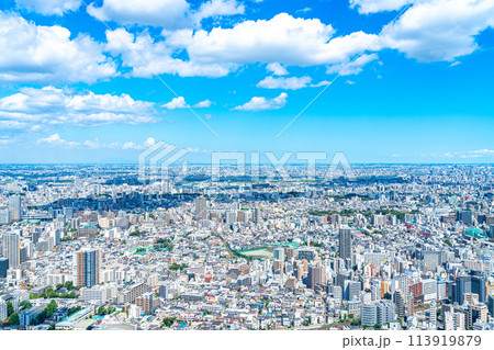 【東京都】サンシャイン60ビルの展望台から見た都市風景 113919879