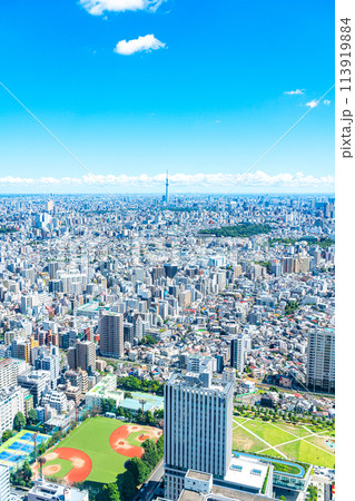【東京都】サンシャイン60ビルの展望台から見た東京スカイツリーと都市風景 113919884
