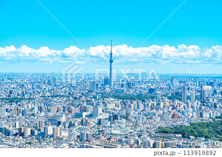 【東京都】サンシャイン60ビルの展望台から見た東京スカイツリーと都市風景 【東京都】サンシャイン60ビルの展望台から見た東京スカイツリーと都市風景 113919892