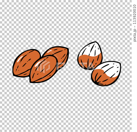 Simple illustration almond 113920010