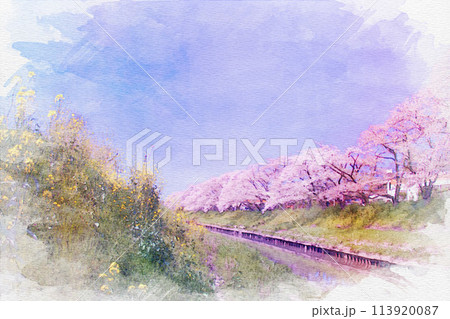[愛知県]岩倉市の五条川桜並木の堤の水彩画 113920087