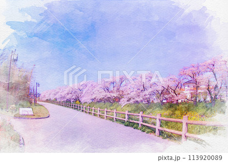 [愛知県]岩倉市の五条川桜並木の堤の水彩画 113920089