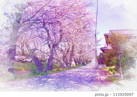 愛知県]岩倉市の五条川桜並木の堤の水彩画のイラスト素材 [113920097
