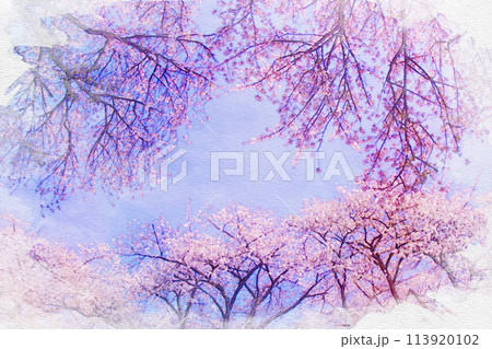愛知県]岩倉市の五条川桜並木の堤の水彩画のイラスト素材 [113920102