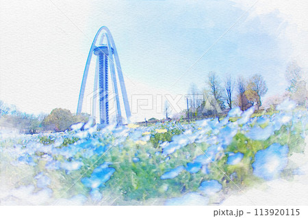 [愛知県]一宮市の138タワーパークのネモフィラの水彩画 113920115