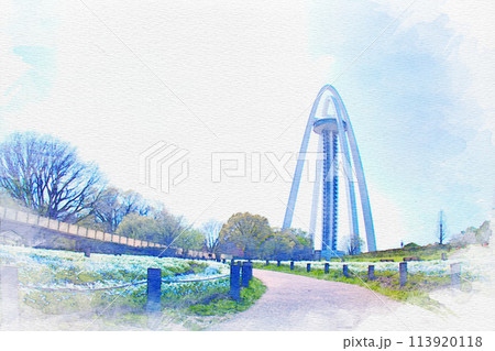 [愛知県]一宮市の138タワーパークのネモフィラの水彩画 113920118