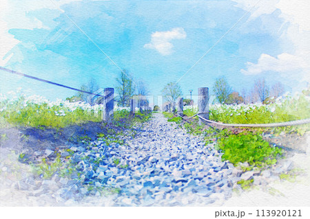 [愛知県]一宮市の138タワーパークのネモフィラの水彩画 113920121