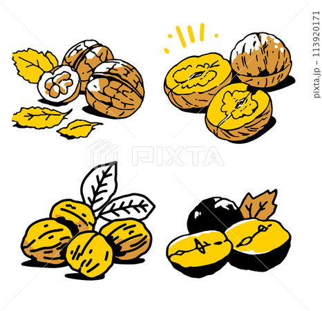 シンプルイラストくるみ 113920171