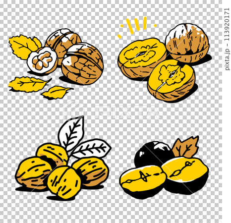 シンプルイラストくるみ 113920171