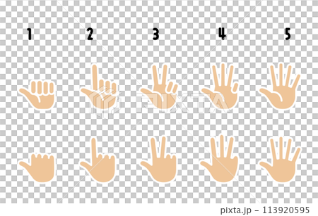 ハンドサイン　数を数える手のイラスト 113920595
