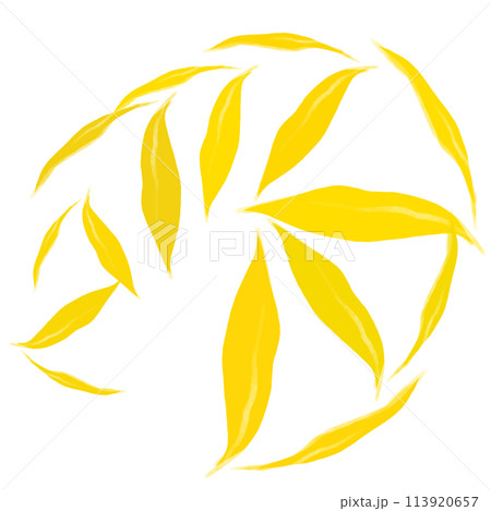 Brush  113920657