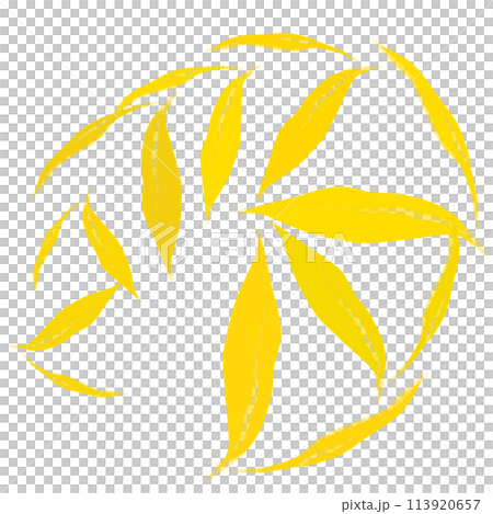 Brush  113920657