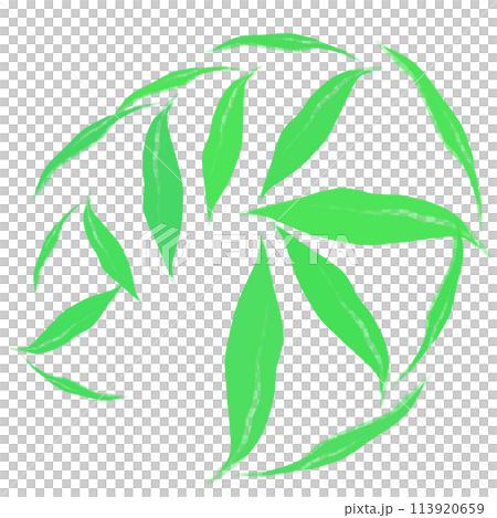Brush  113920659