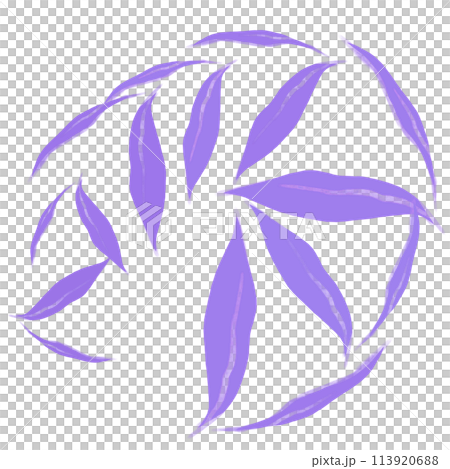 Brush Brush 113920688