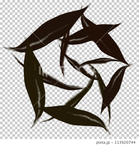 Brush  113920744