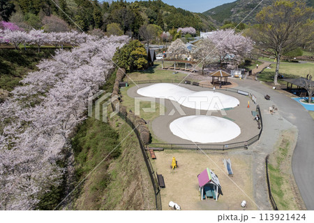 春爛漫の神奈川県立あいかわ公園 113921424