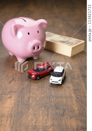 ブタの貯金箱と車 ブタの貯金箱と車 113921715