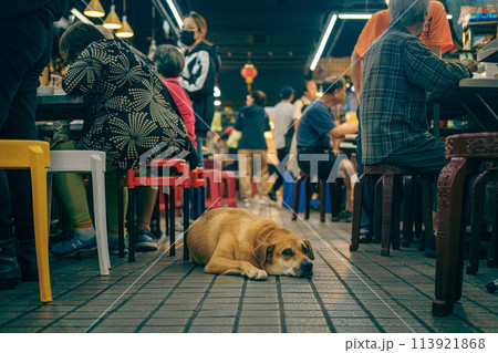 雑踏と犬 113921868