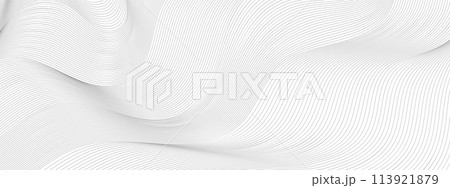 vector Illustration of the pattern of black lines on white background 113921879