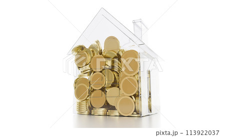 Real estate investment concept. The House is filled with coins. Savings for housing. 113922037