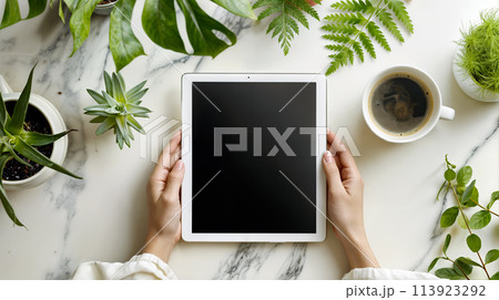 Hands holding tablet on a nature-inspired desk 113923292