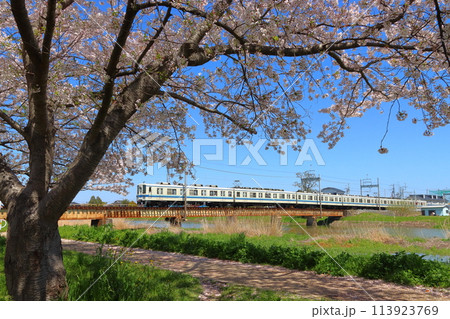 ［TD］春の大落古利根川を渡る東武野田線8000系電車 113923769