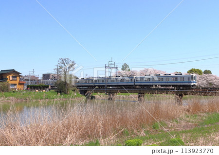 ［TD］春の大落古利根川を渡る東武野田線8000系電車 113923770