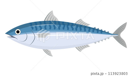 鯖のイラスト 113923803