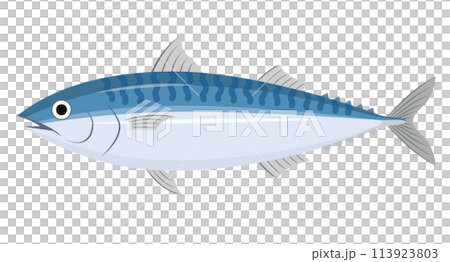 鯖のイラスト 113923803