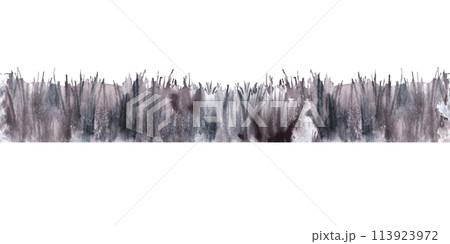 Landscape grass field, meadow seamless border, horizontal pattern. Withered herb. Watercolor monochromatic nature, organic, bio, eco label, packaging. Hand draw illustration. Isolated white background 113923972