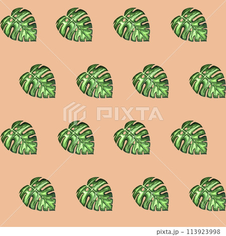 Watercolor seamless pattern of hand drawn tropical leaves. Jungle monstera leaves. Nature floral on grey background for wrapping paper, print, fabric, web, wallpaper. Summer botanical banner. Watercolor seamless pattern of hand drawn tropical leaves. Jungle monstera leaves. Nature floral on grey background for wrapping paper, print, fabric, web, wallpaper. Summer botanical banner. 113923998