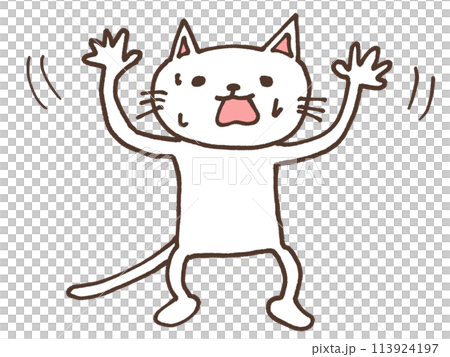 Impatient White Cat Impatient White Cat 113924197